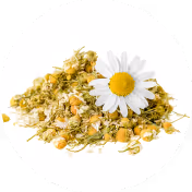 Chamomile